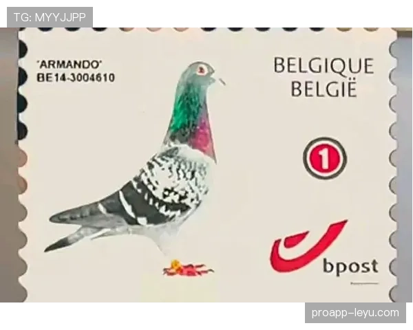 耶耶·图雷传奇回顾：中场巨匠持续展现非凡影响力