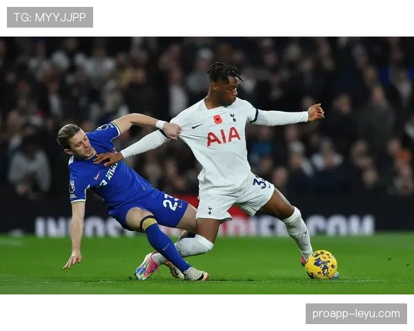 热刺新球场融合现代科技与足球文化，持续点燃球迷热情