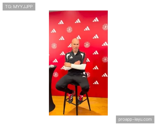 齐达内：从绿茵传奇到战术大师的华丽转身