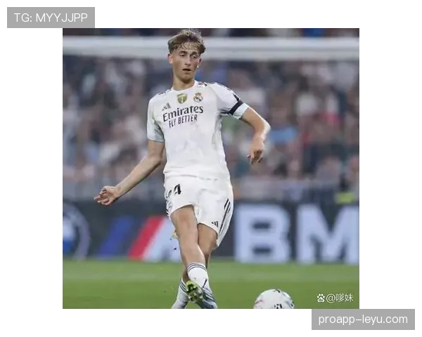 莱万多夫斯基西甲赛季最佳表现稳健 莱万多夫斯基西甲赛季最佳表现稳健